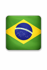 Brazil flag