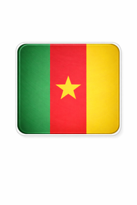 Cameroon flag