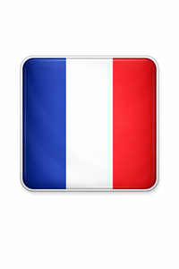 France flag